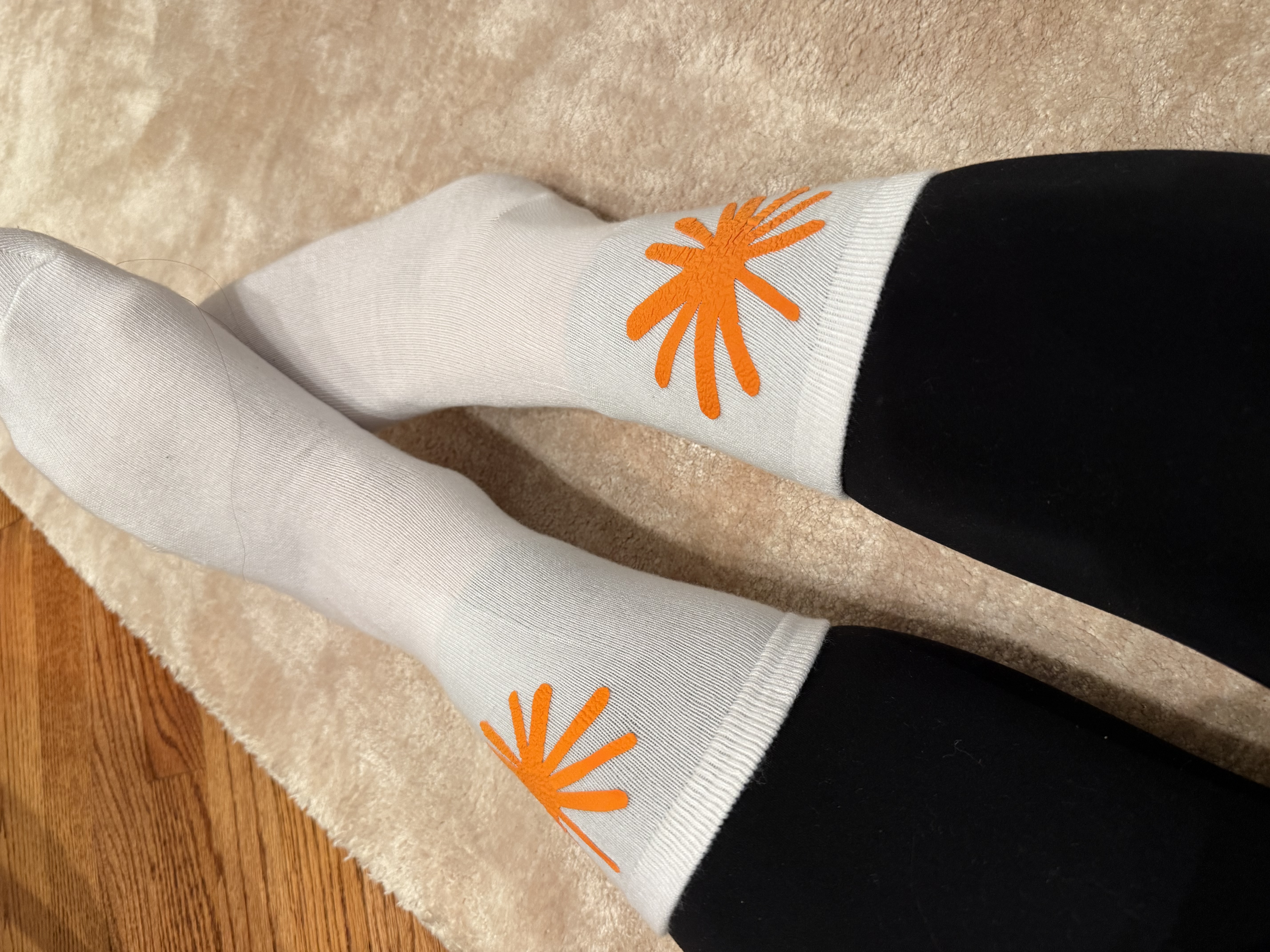Anthropic sunburst socks